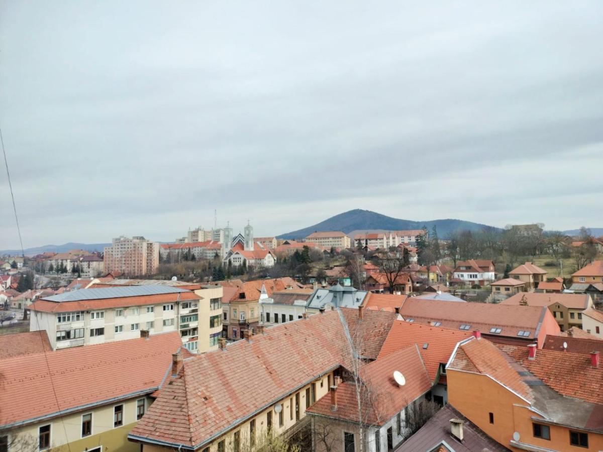 Nexus Center Daire Miercurea Ciuc Dış mekan fotoğraf